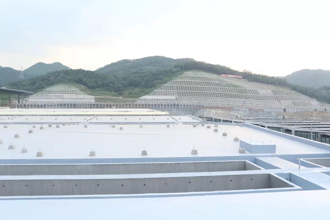 2024新澳原料免费资料