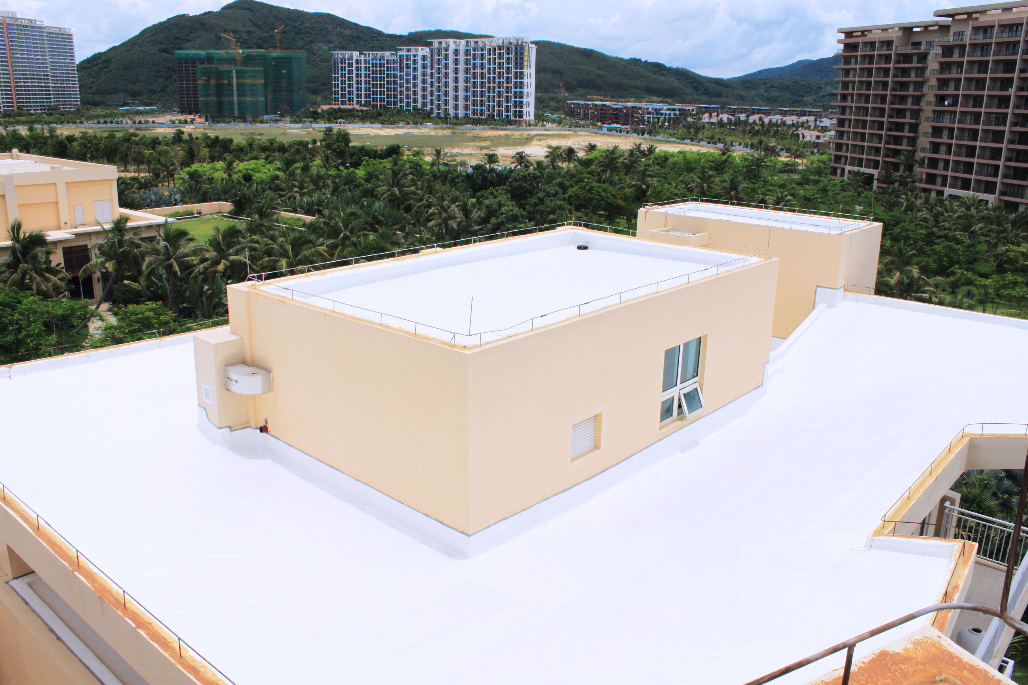 2024新澳原料免费资料
