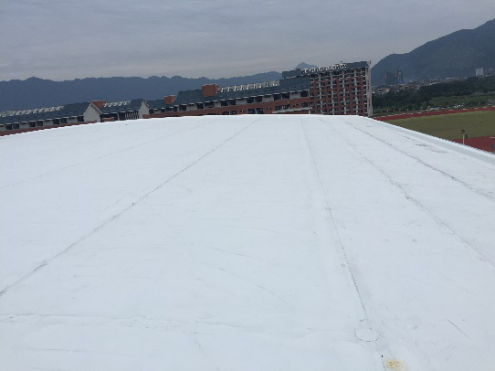 2024新澳原料免费资料