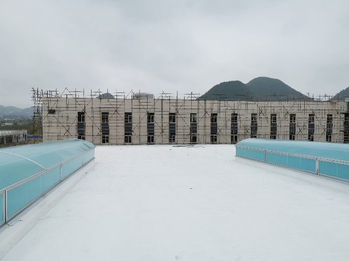 2024新澳原料免费资料