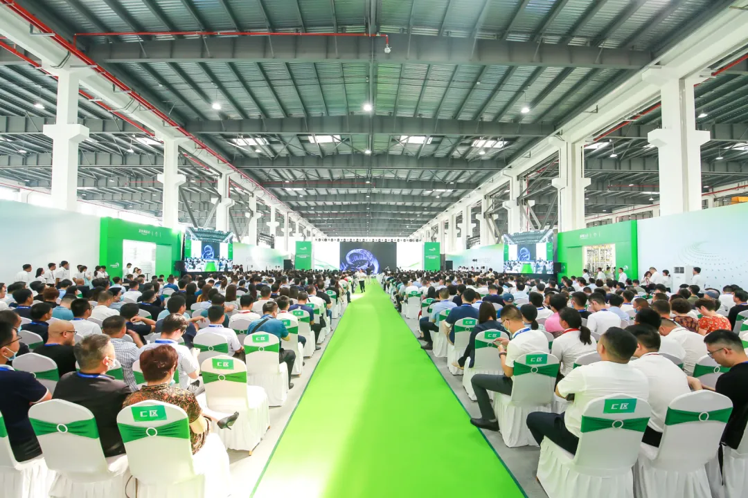 2024新澳原料免费资料
