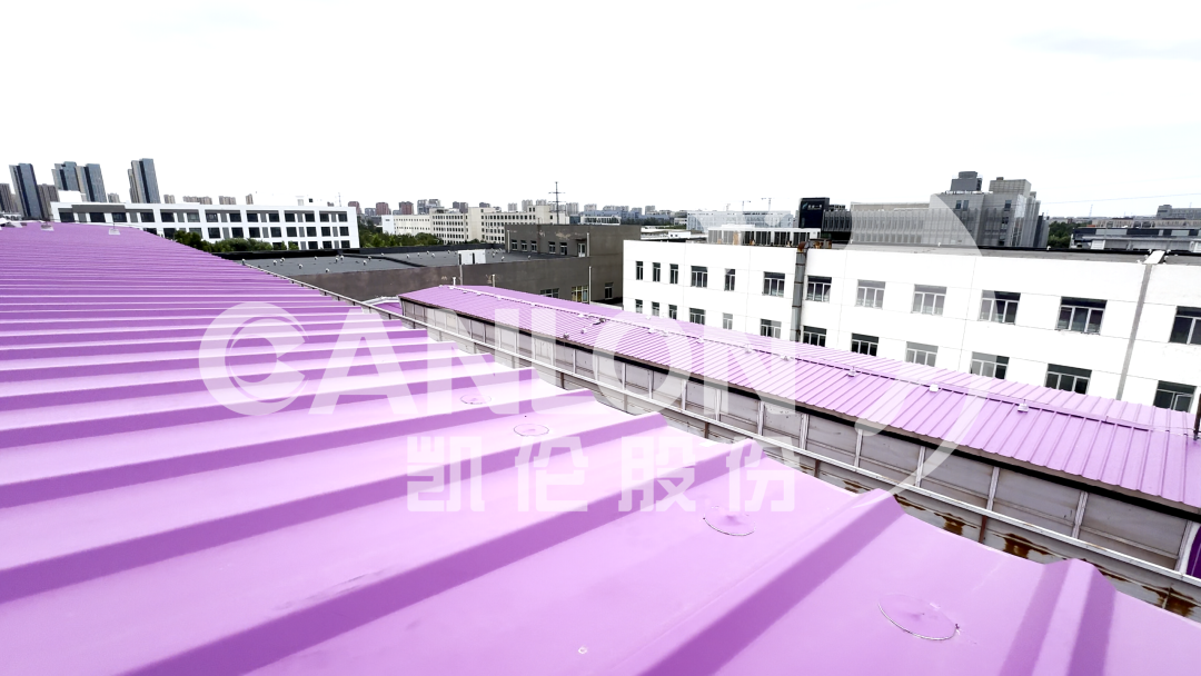 2024新澳原料免费资料