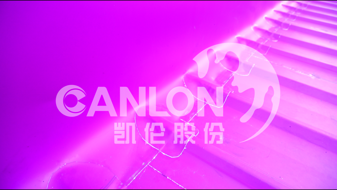 2024新澳原料免费资料